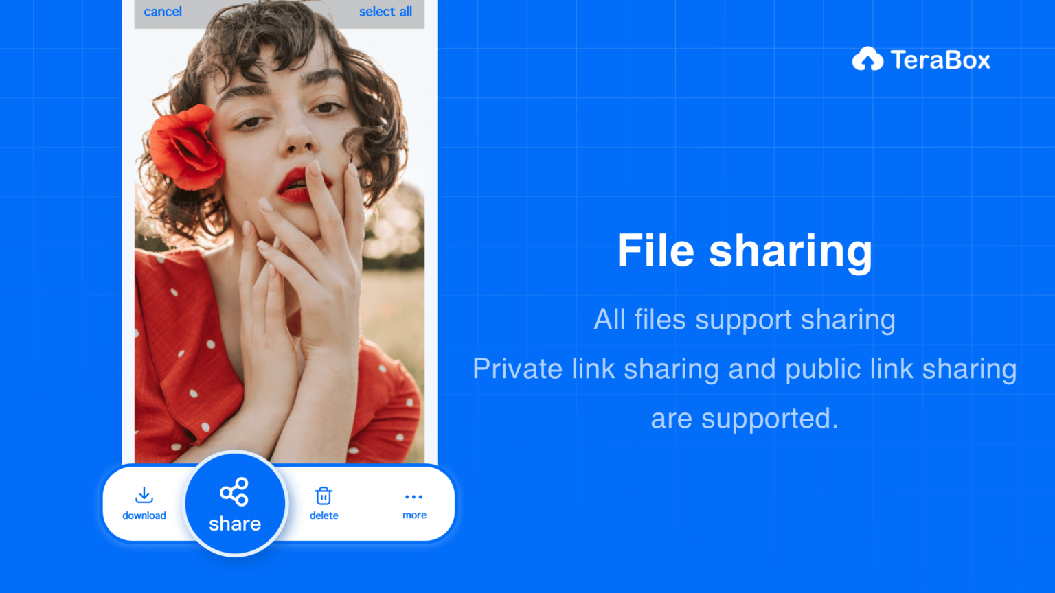 File sharing