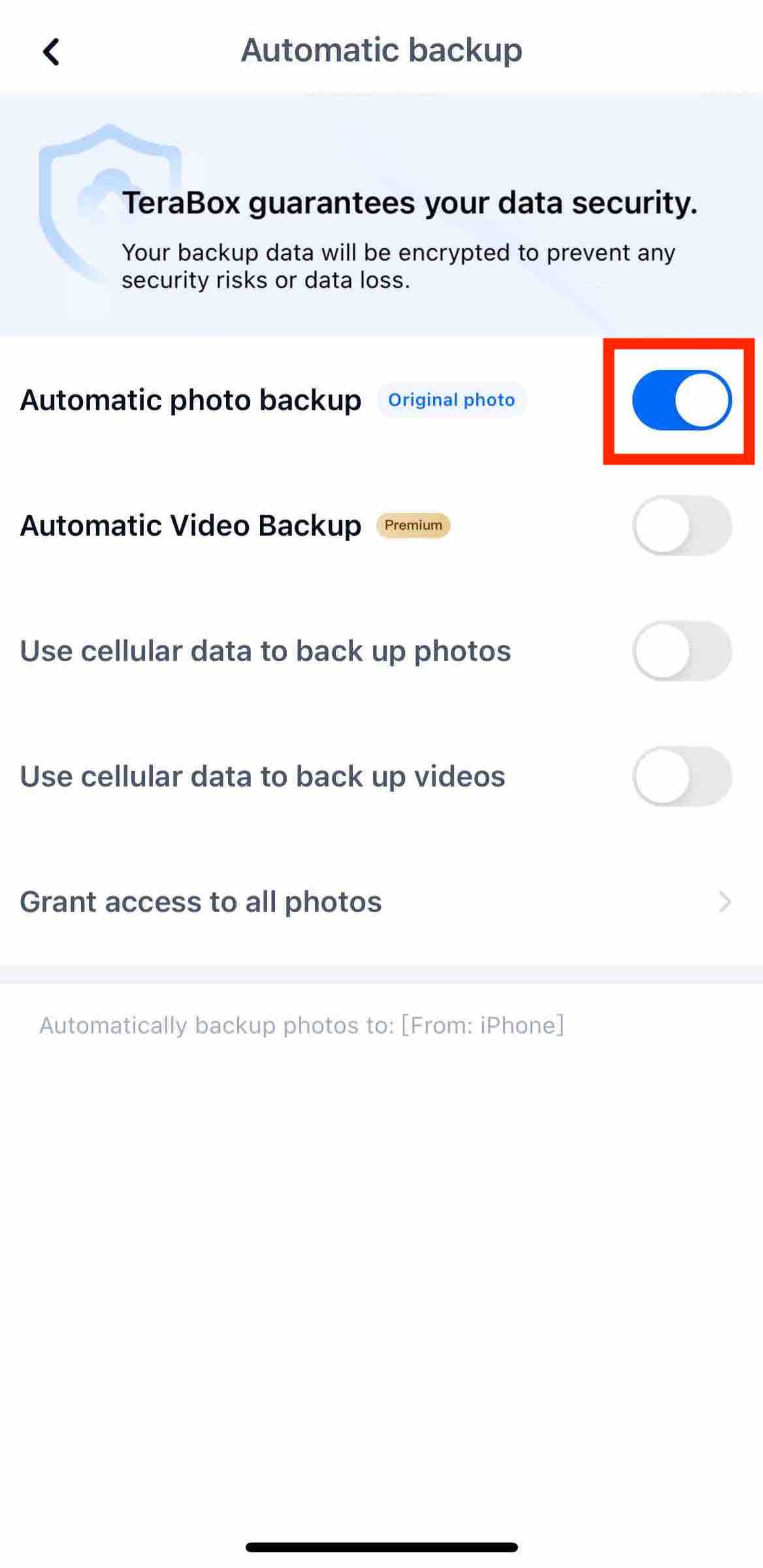 auto backup