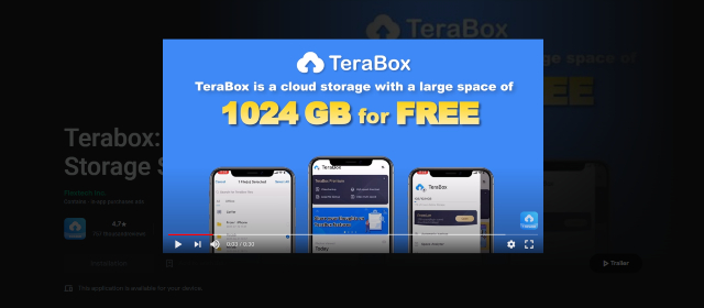 03 TeraBox google
