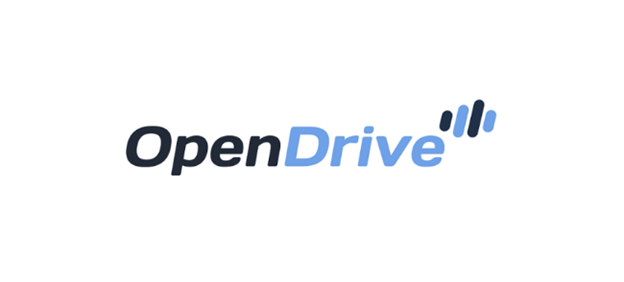 08 OpenDrive