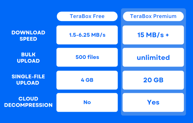 02 TeraBox Premium 1