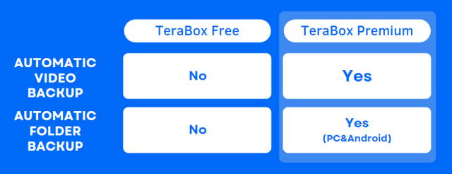 03 TeraBox Premium 1