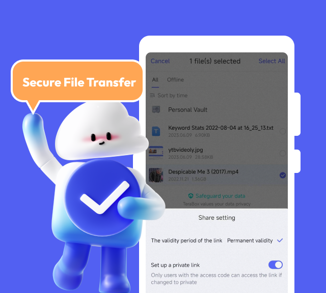 Secure File Transfer - TeraBox