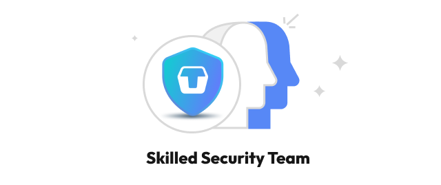 Skilled Security Team