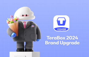 TeraBox Brand Upgrade