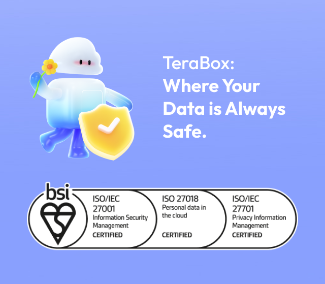 TeraBox Safety