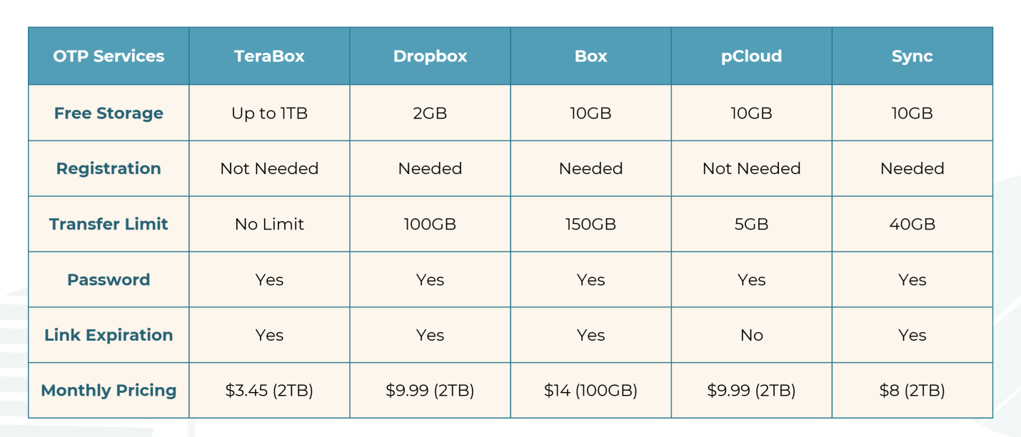 09 TeraBox Store Big Share Bigger